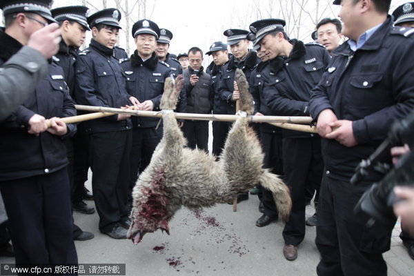 Wolf killed after attacks on humans in E China