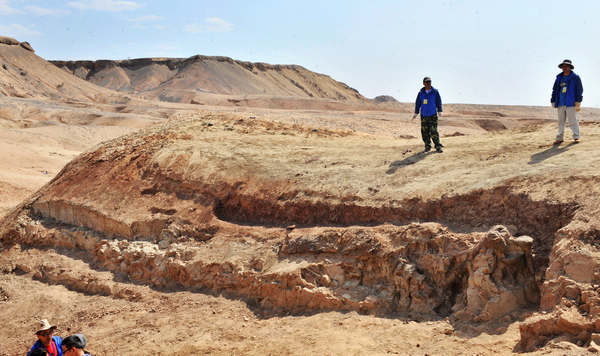 Large Jurassic dinosaur fossil discovered in NW China