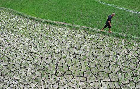 Severe drought drains rivers in South China