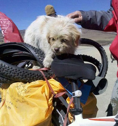 'Little Sa' winds her way up to Lhasa