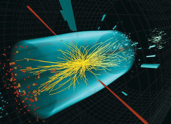 Chinese link in missing-link breakthrough