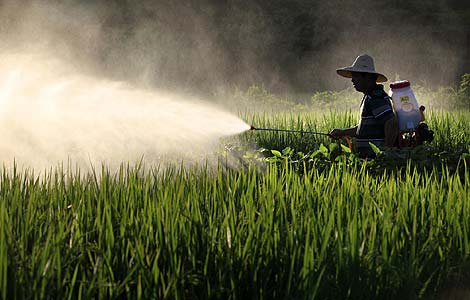 China adds 200 million yuan for pest control