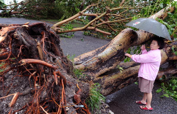 Interaction may strengthen typhoons