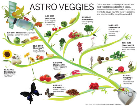 Space-age food served up with seeds of success