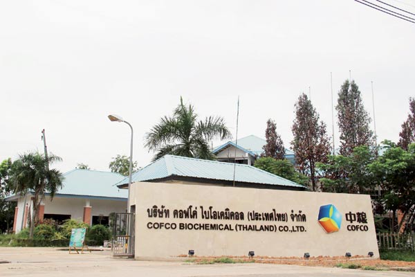 Chinese firms ramp up presence in Thailand