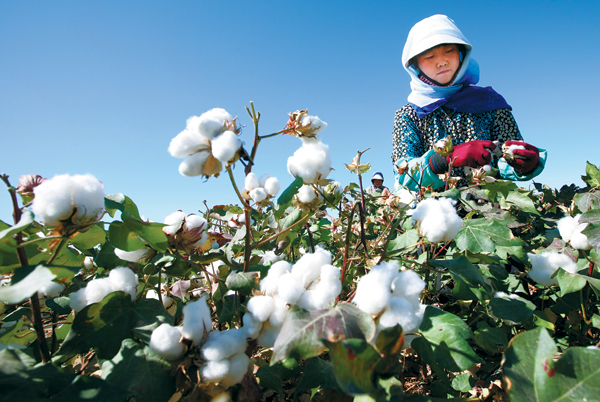 Gradual changes taking place amid bumper harvest