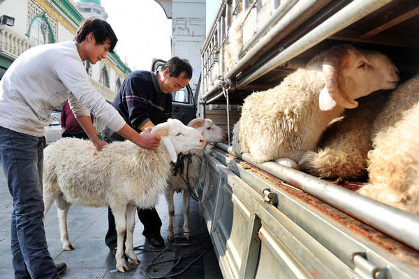 Muslims in NW China celebrate Corban festival