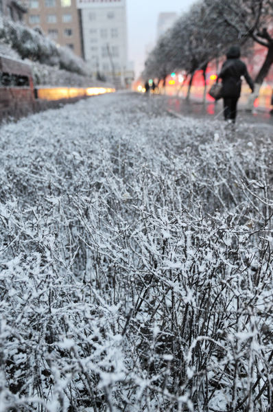 Highways closed as snowstorms hit NE China