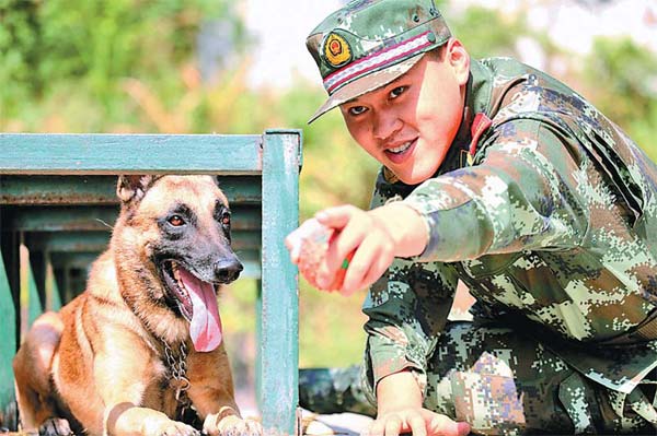 It's a dog's life in the armed police force