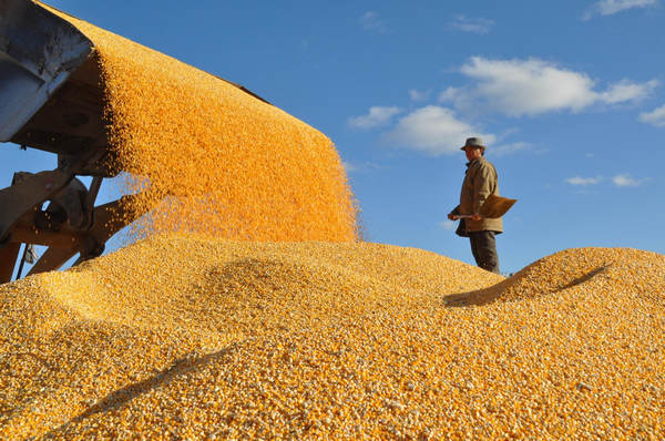 Grain output grows for 9th consecutive year