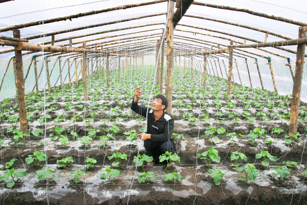 Harvesting opportunities in foreign land