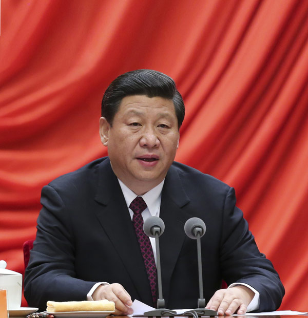 Xi Jinping vows 'power within cage of regulations'