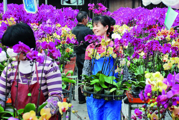 Flower power backs Zhangzhou growth