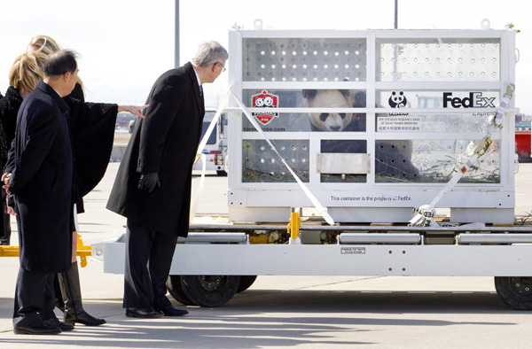 Panda pair arrive in Canada