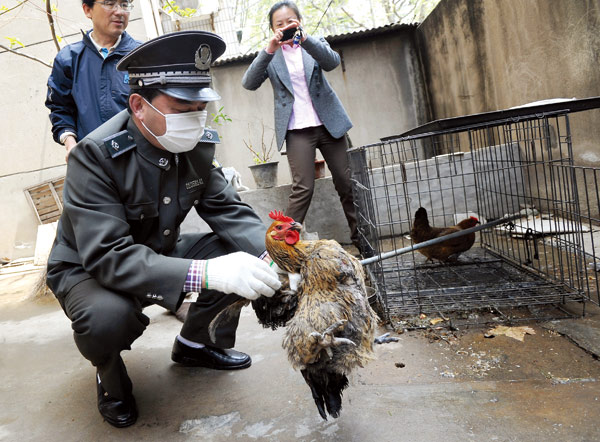 Nanjing demands poultry slaughter to curb flu