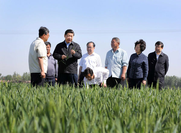 Xi stresses steadily promoting economic growth