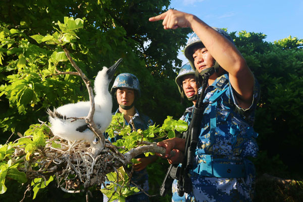 Cruises sail to Xisha Islands