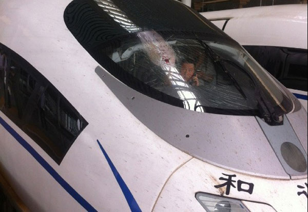 Bird strike forces high-speed train to stop