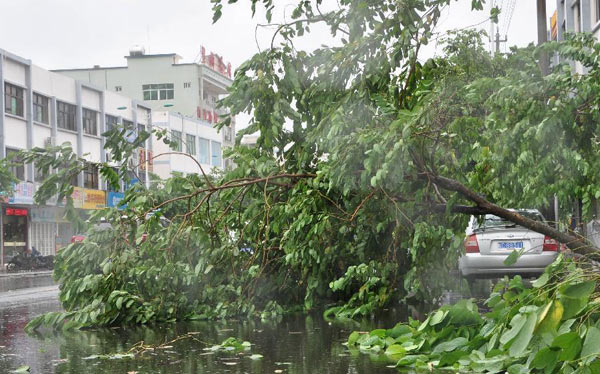 Image d'illustration pour Ex-tempête tropicale Bebinca (Chine - Vietnam)