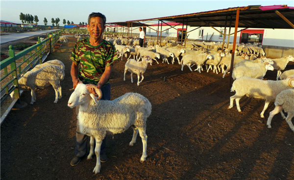 N China farmers get help from govt officials