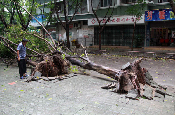 Typhoon Usagi kills 25 in China