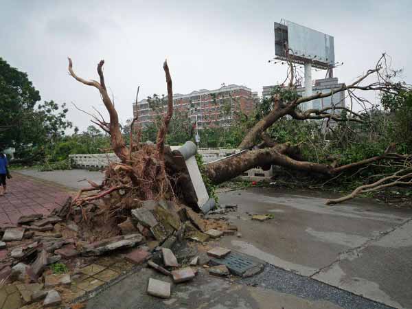 Typhoon Usagi kills 25 upon Guangdong landfall