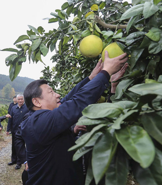 Xi makes poverty relief trip to Hunan