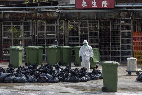 HK culls chickens, bans live imports for fear of H7N9