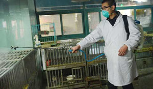 Vaccine developed as China reports more H7N9 cases