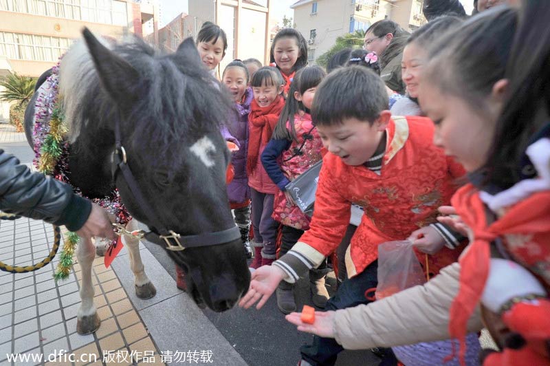 Horse helps welcome students back to school