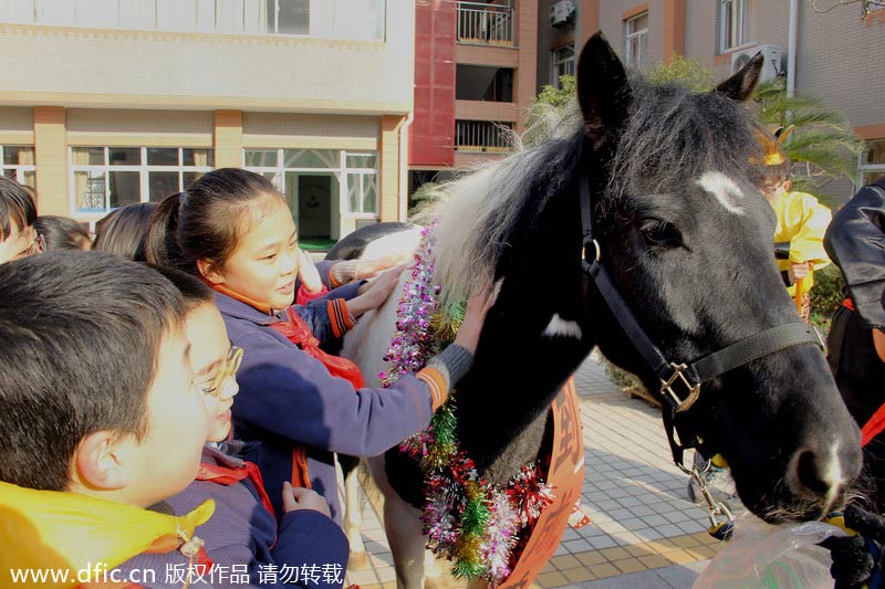 Horse helps welcome students back to school