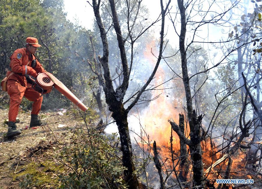 Forest fire breaks out in Sichuan, SW China