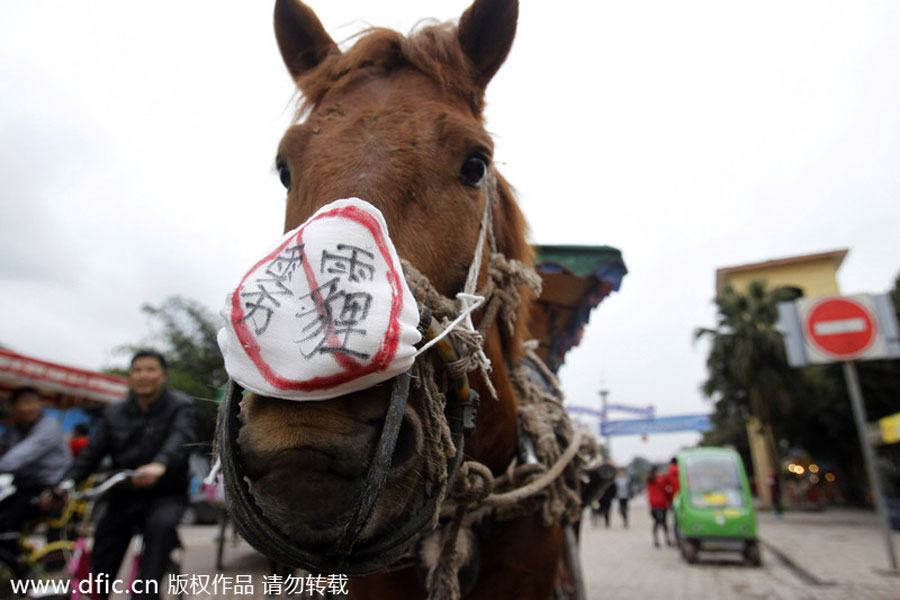 Chongqing hosts anti-smog campaign