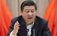 Law, reform must work in tandem, Xi tells meeting