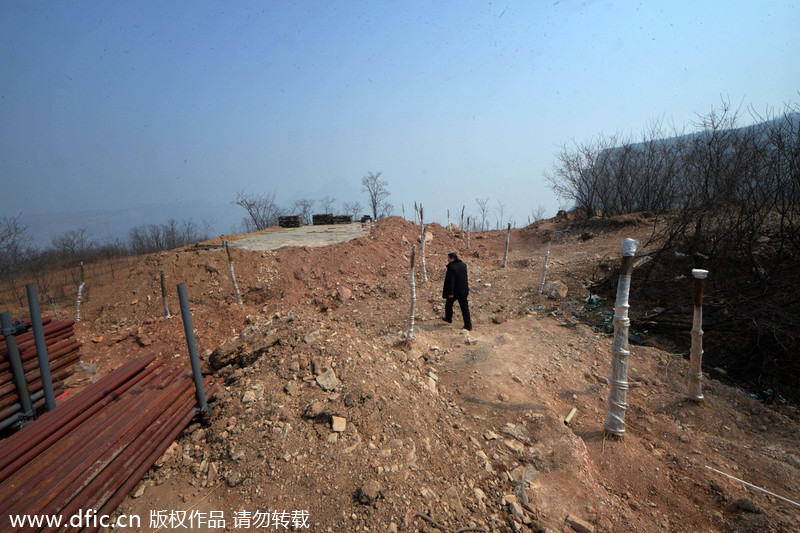 Planting forests on barren hills[2]- Chinadaily.co