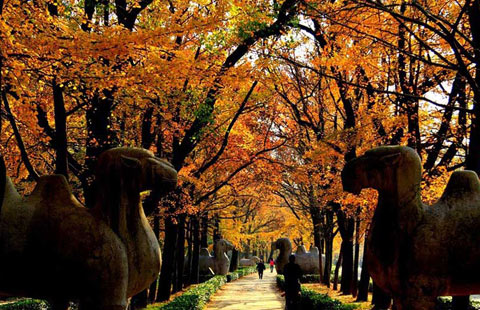 Chinese desire premium fast-moving consume