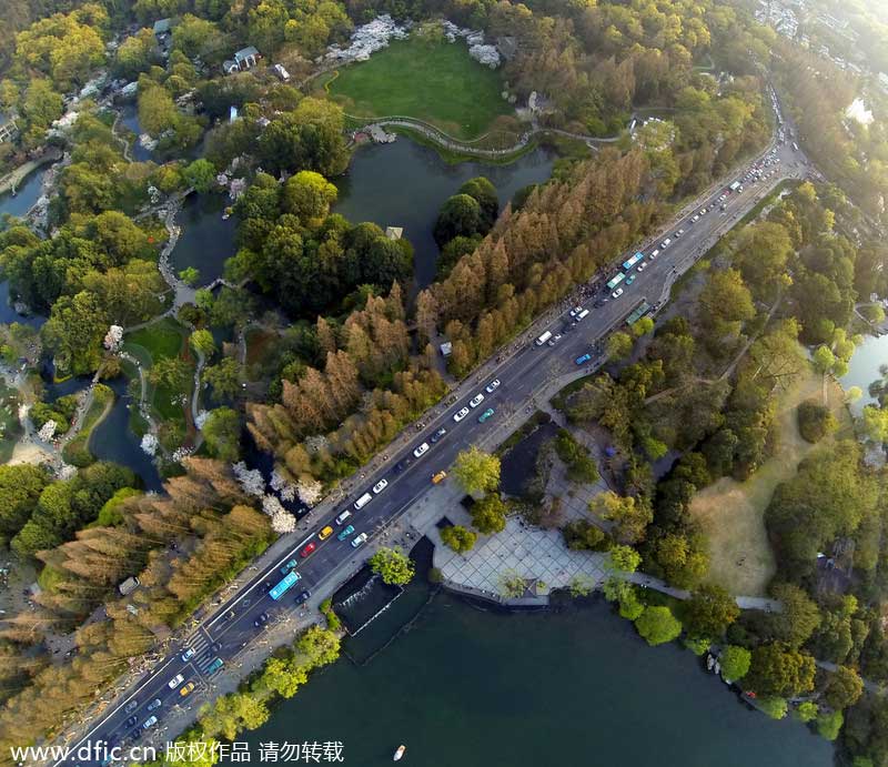 Hangzhou's Prince Bay Park awakens in spring