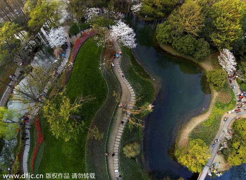 Hangzhou's Prince Bay Park awakens in spring