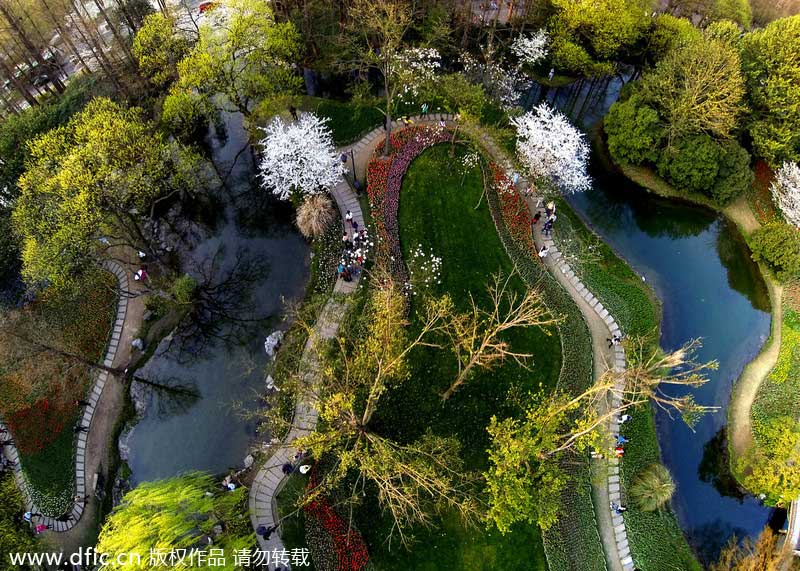 Hangzhou's Prince Bay Park awakens in spring