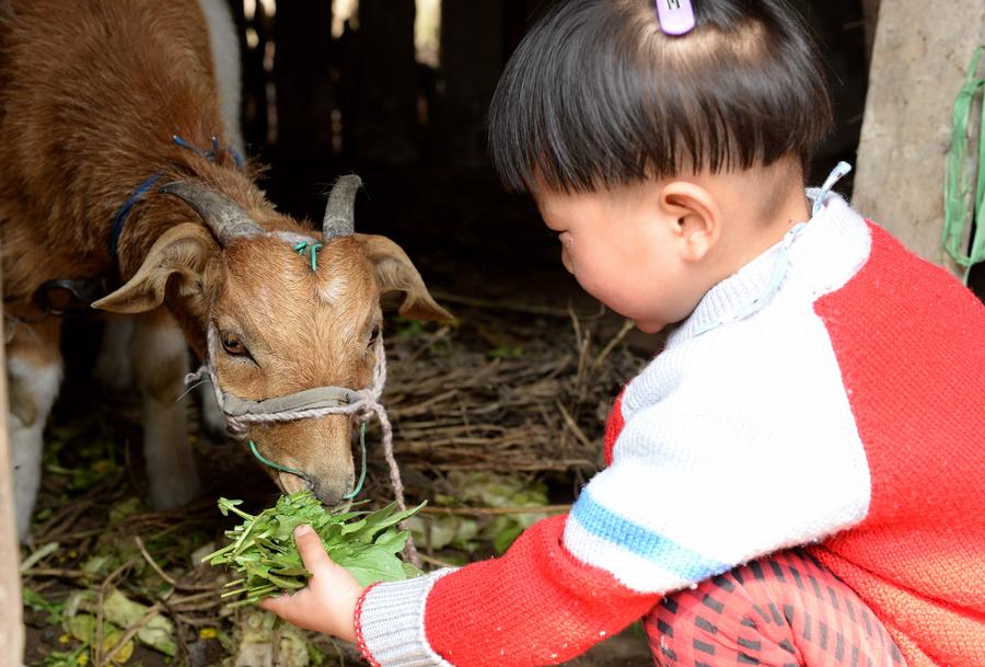 Girl, 5, helps disabled parents around the house