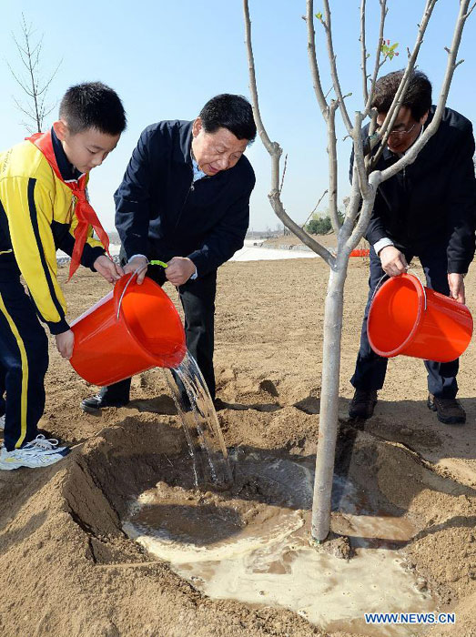 Xi calls for persistent afforestation efforts