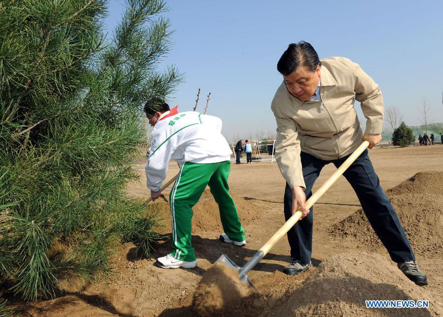 Xi calls for persistent afforestation efforts