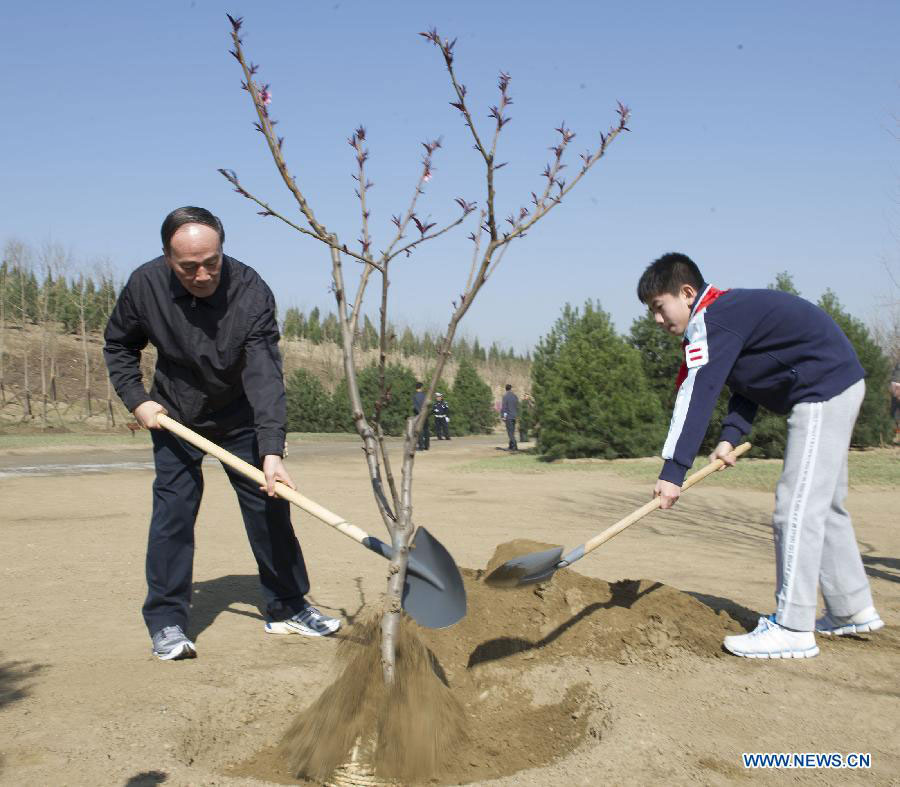 Xi calls for persistent afforestation efforts