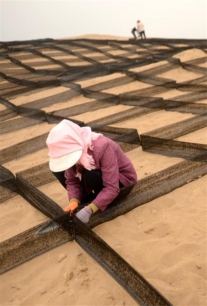 Gansu village tries to make the desert bloom