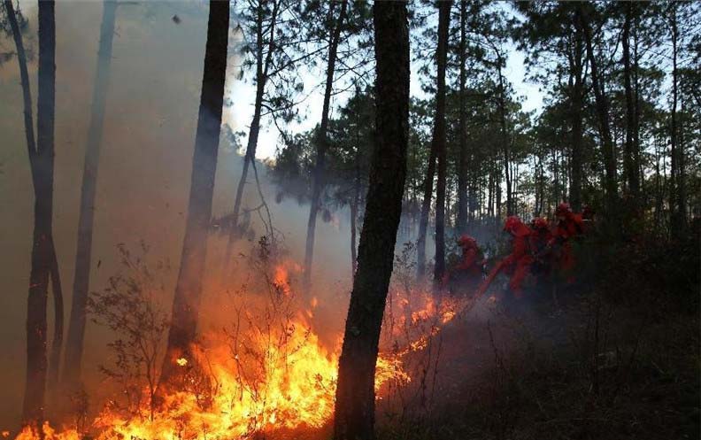 Forest fire breaks out in SW China