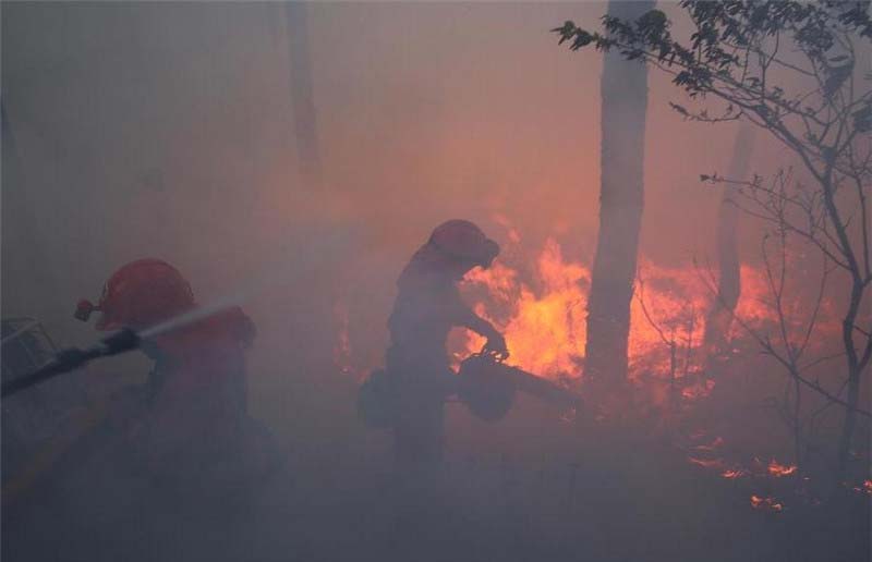 Forest fire breaks out in SW China