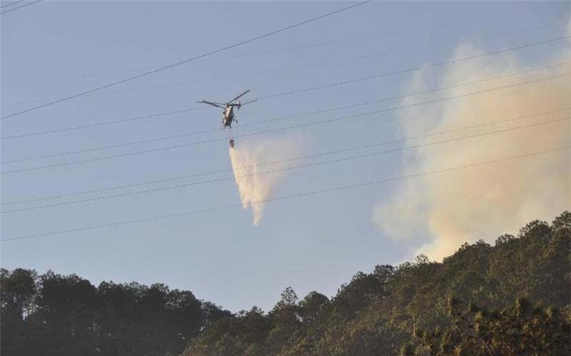 Forest fire breaks out in SW China