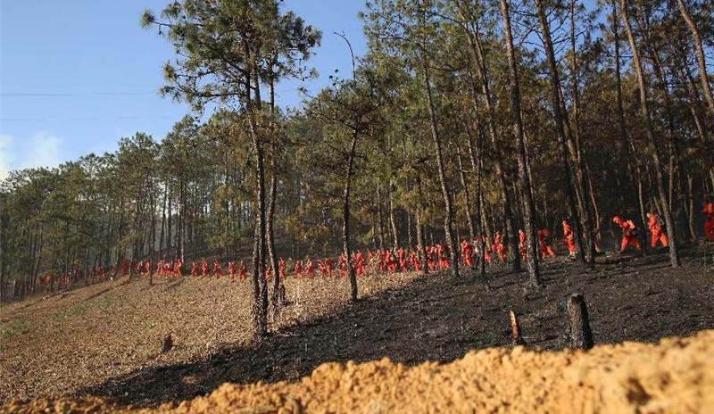 Forest fire breaks out in SW China