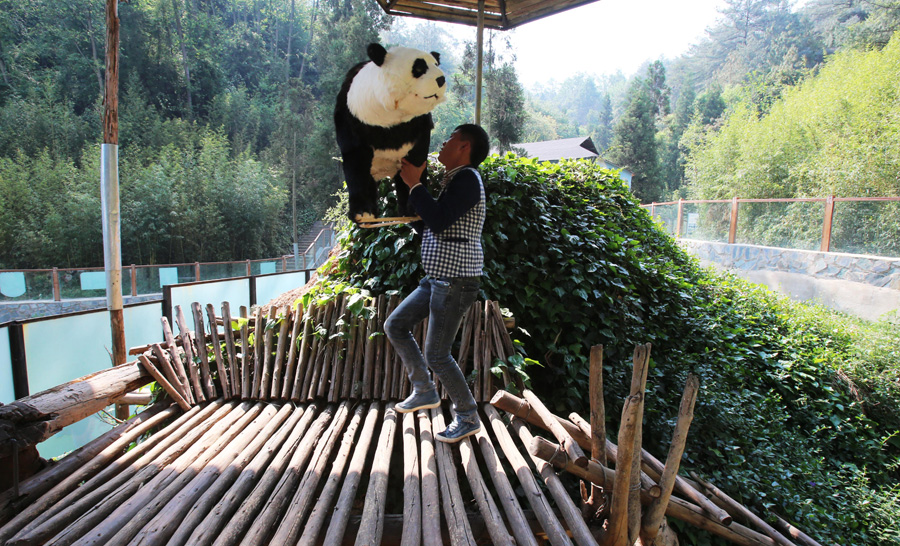 Zoo installs TV to cheer panda up