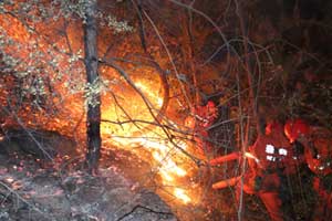 SW China forest fire burns for third day